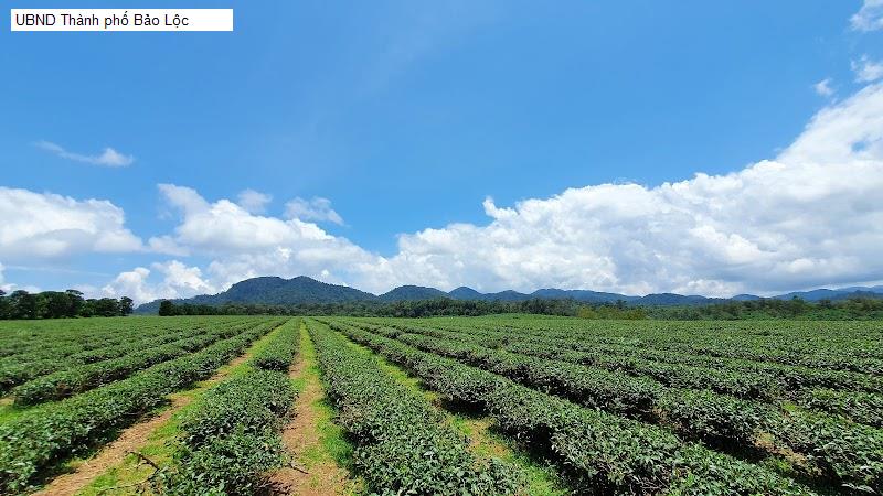 UBND Thành phố Bảo Lộc