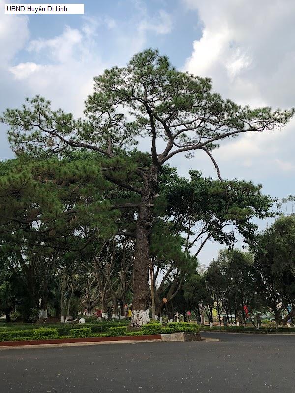 UBND Huyện Di Linh