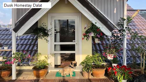 Dusk Homestay Dalat